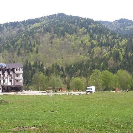 Pensiunea Poiana Soarelui Brates Buitenkant foto