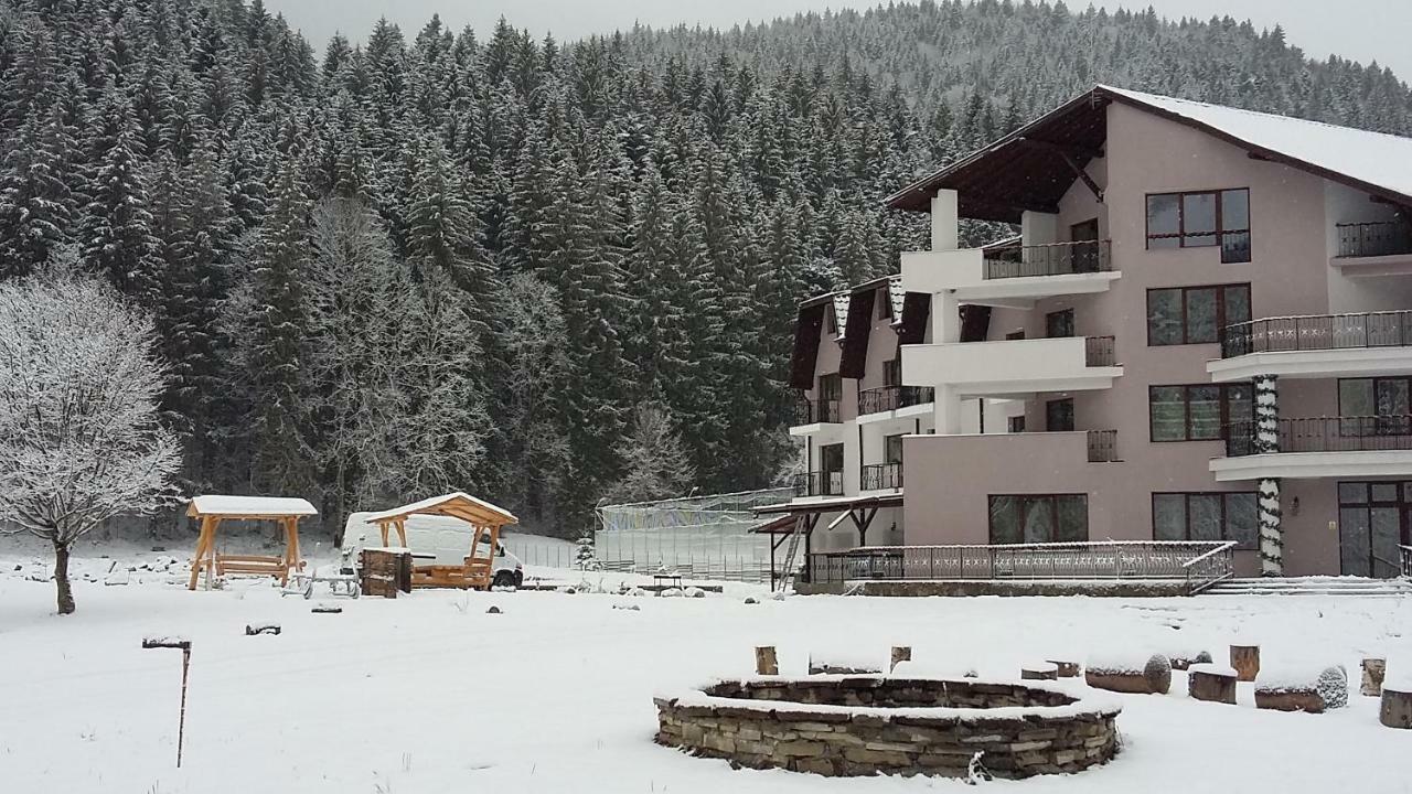 Pensiunea Poiana Soarelui Brates Buitenkant foto