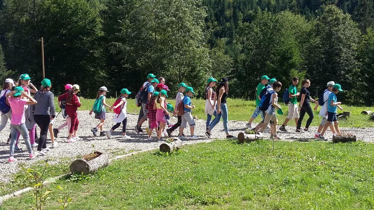 Pensiunea Poiana Soarelui Brates Buitenkant foto