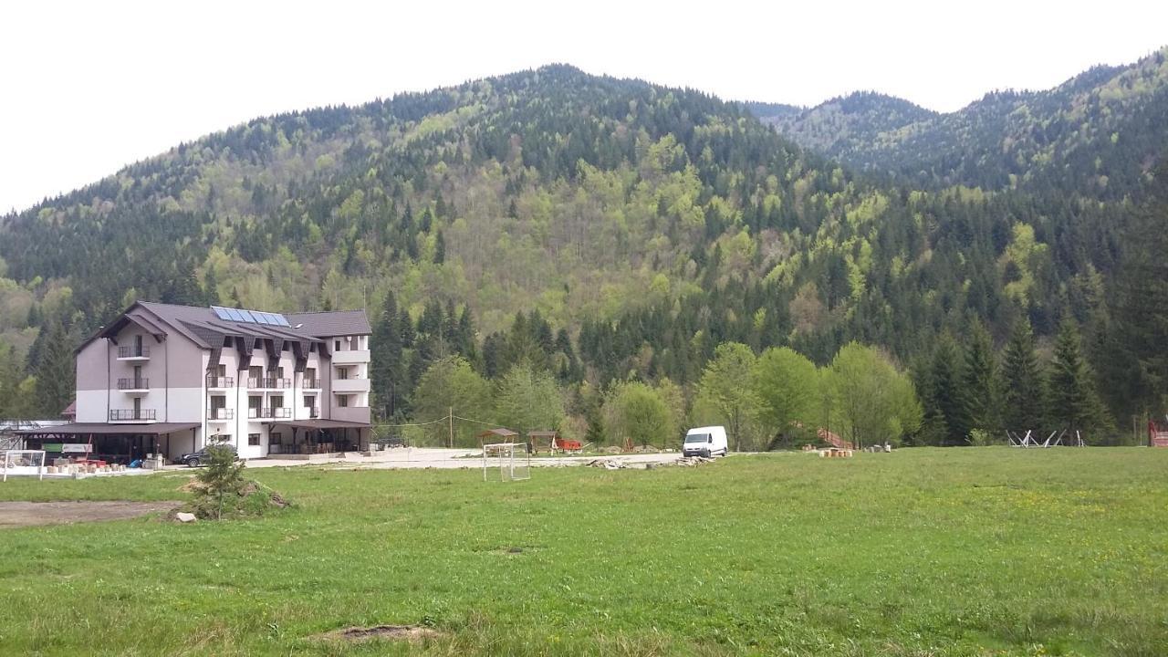 Pensiunea Poiana Soarelui Brates Buitenkant foto