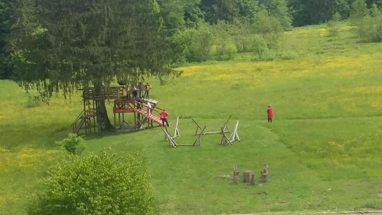 Pensiunea Poiana Soarelui Brates Buitenkant foto