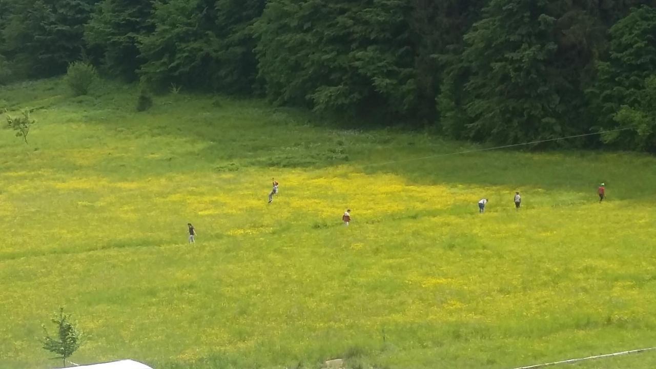 Pensiunea Poiana Soarelui Brates Buitenkant foto